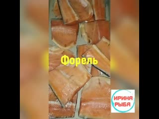 porn форель масляная иринарыбафорель иринарыбамасляная только у нас в альметьевске свежее поступление и самый большой hd