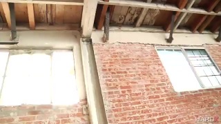 porn девушка сняла белые трусики и сосет среди деревьев hd