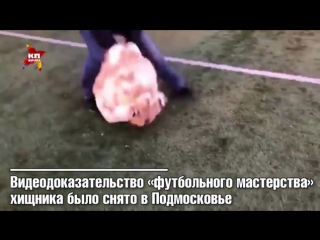 porn к чм 2018 у россии появилось секретное оружие так шутят в соцсетях по поводу видеоролика на котором в футбол играет hd