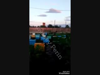 porn видеозапись усадьбы члена банды цапков цеповяза в колонии hd