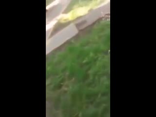 porn соболь набросилась на снимавшего ее парня hd