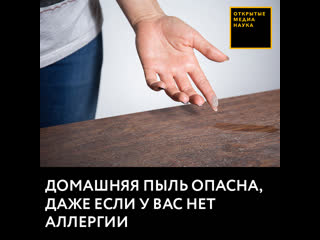 porn домашняя пыль опасна даже если у вас нет аллергии hd