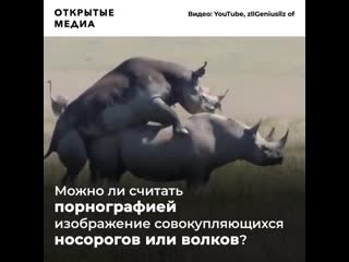 porn выстаа о брачных играх молодые вызвала скандал в новосибирске hd