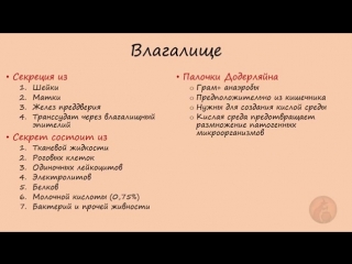 porn гинекология анатомия женских половых органов только для медиков hd