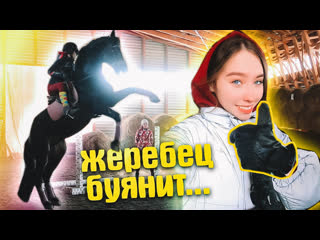 porn первый раз со шпорами тренироа с привязанными стременами vlog hd
