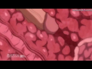 porn 18 hentai sei brunehilde gakuen shoujo kishidan to junpaku no panty рыцарь брюнхильда и чисто белые трусики01 ru hd