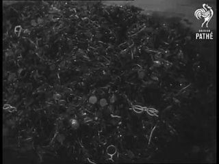 porn auschwitz concentration camp poland концентрационный лагерь освенцим польша hd
