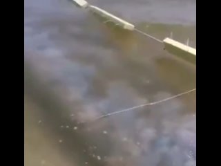 porn на побережье азовского моря медузий апокалипсис hd