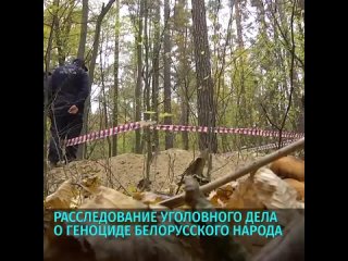porn под гомелем в чёнковском лесу обнаружены останки 45 расстрелянных в годы войны мирных граждан hd