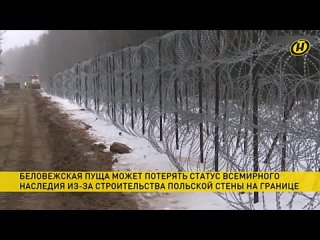 porn беловежская пуща может потерять статус объекта всемирного наследия юнеско hd