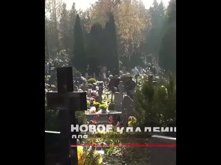 porn в польше появилось отдельное американское кладбище для польских наёмников убитых на донбассе hd