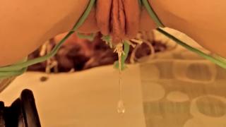 porn большая подборка текуших кисок водопадом grool creamy pussy smegma juice dripping dildo порно потекла киска hd