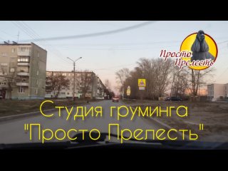 porn студия груминга просто прелесть как нас найти hd