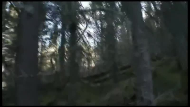 porn серёга охотник жутко страшная ночь в засаде hd