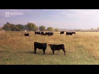 porn проклятие ранчо скинуокер 2 сезон 10 серия оно идет следом hd
