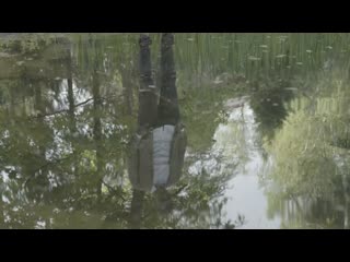 porn папа сын написал песню в память о папе до слёз t killah hd