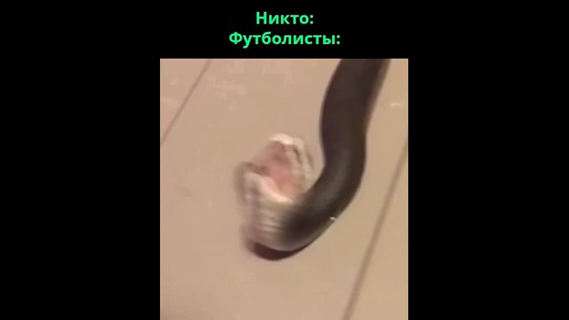 porn мемуары ценителей научных мемов hd