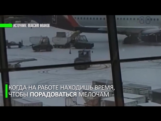 porn водитель буксировщика багажа устроил дрифт на снегу в аэропорту шереметьево hd