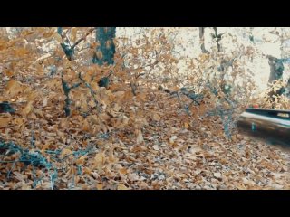 porn подборка выстрелов с подствольной камеры mp4 hd