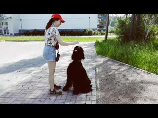 porn соня и наоми нежная девочка и мощная молодые hd