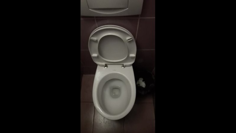 porn женщина держит мужчину глупая за горло умная за член мудрая за руку а гениальная вообще недержит надпись в hd