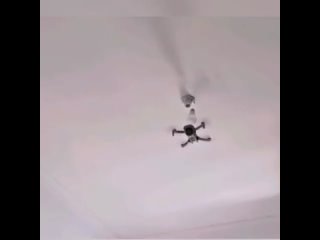 porn жена все таки заставила поменять лампочки на кухне hd