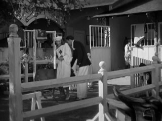 porn разрисованная вуаль 1934 драма мелодрама экранизация ричард болеславски 1080p hd