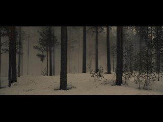 porn выбор короля 2016 драма военный биография история эрик поппе hd
