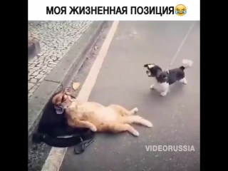 porn правильная жизненная позиция 4 hd