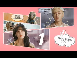 porn mania 0110 720 любовь обезьяны и молодые monkey and dog romanc hd
