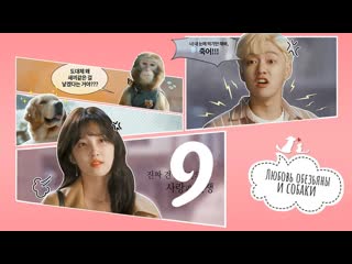 porn mania 0910 720 любовь обезьяны и молодые monkey and dog romanc hd