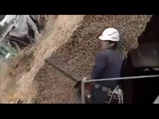 porn японские дома с соломенной крышей сделал сам hd