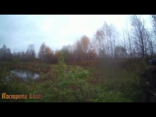 porn доброго бодрого утра крайняя вылазка в лес без добычи но очень душевно и позитивно hd