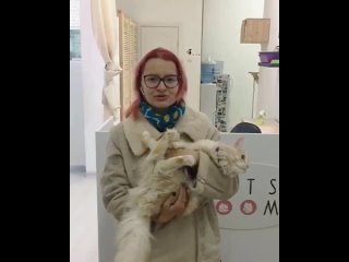 porn соня молодая но бойкая малышка которая серьезно относится к своим кошачьим границам hd