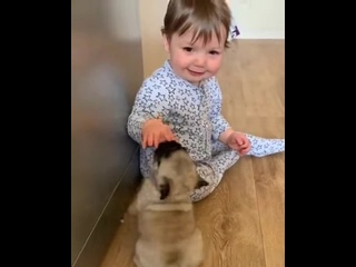 porn this year sucks pug puppy hd
