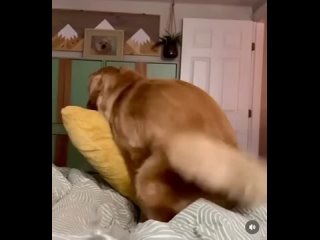 porn a little embarrassed due to not having a pillow underneath there hd