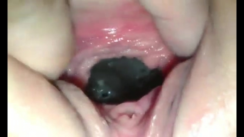 porn моя великолепная дыроч порно xxx porno sex порно секс эротика девушки грудь женщины сучки шлюхи сиськи анал минет hd
