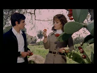 porn прекрасный ноябрь un bellissimo novembre 1969 режиссер мауро болоньини hd