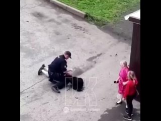 porn агрессивная пьяная молодые hd