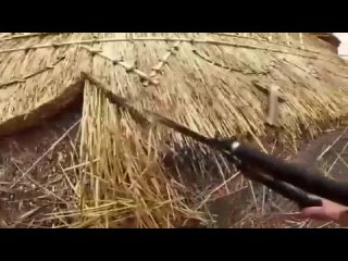 porn работа с соломенной крышей hd