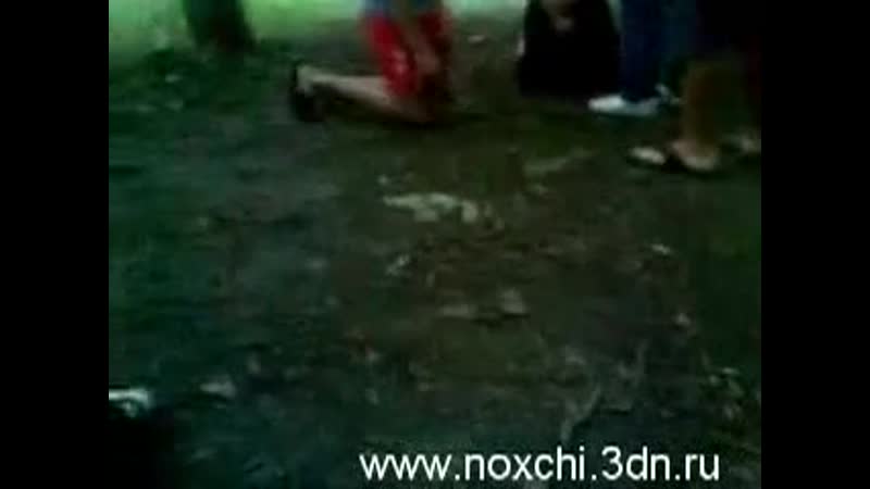porn чеченцы поставили хохлов на колени и заставили сказать хохлы говно hd