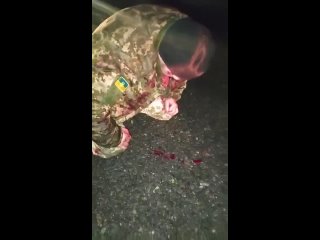 porn цыгане поставили на колени и избили атошников hd