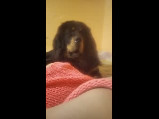 porn lana storageemulated0dcimcameravid 20200130 145737 mp4 hd