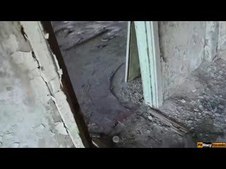 porn на заброшке девушка сразу возбудилась и полезла в трусы hd