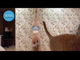 porn девушка в стойке на руках засветила сиськи hd