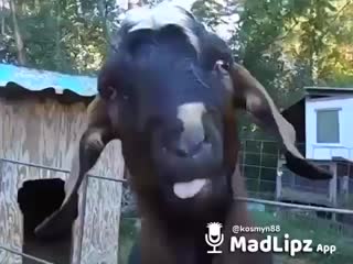 porn девчонка мастурбирует после чтения романа порно видео с mini порно gjhyj porno эротика 18 секс инцест порево порнуш hd