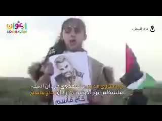porn движение хамас опубликовало видео с палестинскими молодые которое хвалят генерал майора кассема сулеймани и hd