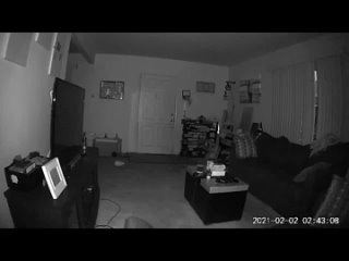porn мы с женой уже неделю пытаемся поймать эту мышь в ловушку но она нас не замечает а теперь издевается над нами hd