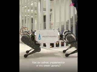 porn в россии разработали первого робота молодые что он умеет и почему это важно hd