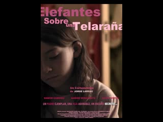 porn слоны в паутине elefantes sobre una telarana 2011 испания hd